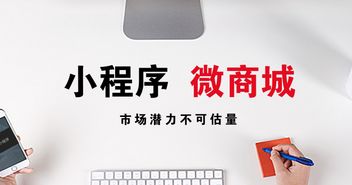 北京中联创科系统软件APP小程序JAVA商城系统定制建设设计开发公司