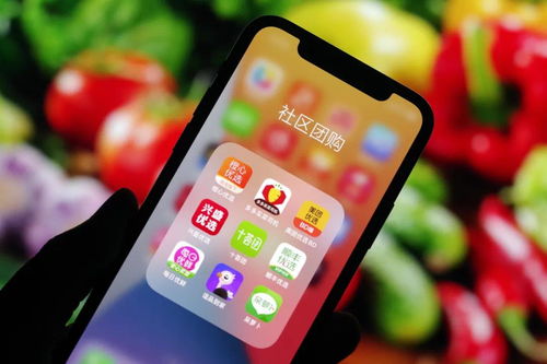 北京中联创科团购系统软件APP小程序定制建设开发公司